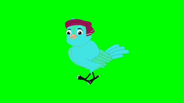 Bird walking character. Animal walker character. Walking cartoon character with green screen video animation with chroma key. Bird green screen video.