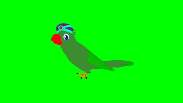 Parrot walking character. Animal walker character. Walking cartoon character with green screen video animation with chroma key. Parrot green screen video.