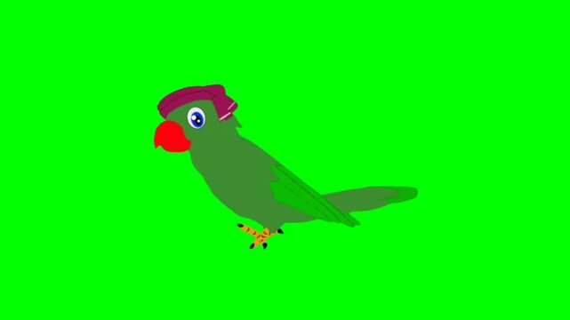 Parrot walking character. Animal walker character. Walking cartoon character with green screen video animation with chroma key. Parrot green screen video.