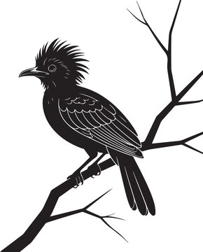 Stylized Black Bird Perched on Branch Silhouette