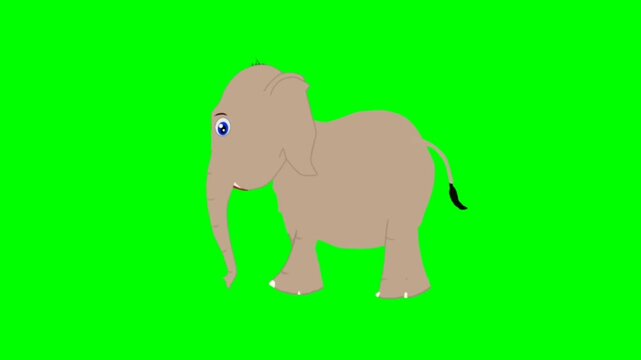 elephant in the hand. Elephant walking character. Walking animal cartoon character with green screen video animation with chroma key.