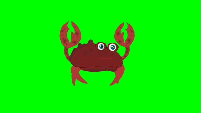 illustration of a cartoon carb. Tortoise walking character. Walking animal cartoon character with green screen video animation with chroma key.