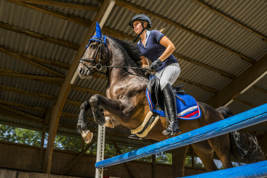 Young woman on horse crossing obstacle on course
