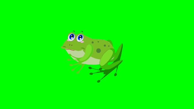 green frog on the water. Frog walking character. Walking animal cartoon character with green screen video animation with chroma key.