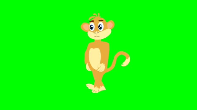 Illustration of monkey. Monkey walking character. Walking animal cartoon character with green screen video animation with chroma key.