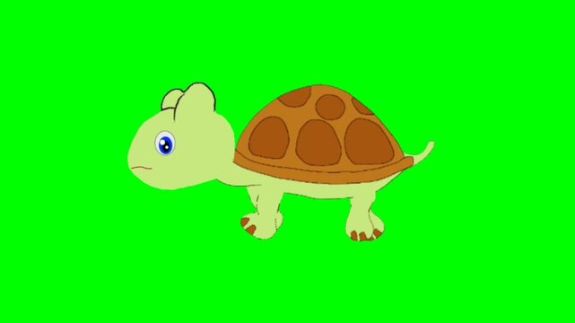 Illustration of tortoise. Tortoise walking character. Walking animal cartoon character with green screen video animation with chroma key.