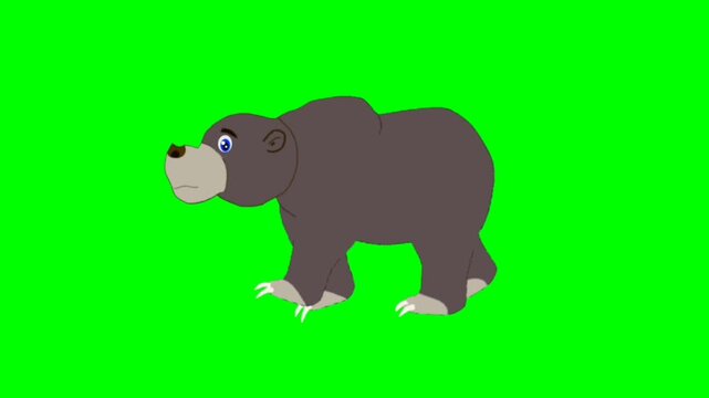 vector illustration of a cartoon bear. Bear walking character. Walking animal cartoon character with green screen video animation with chroma key.
