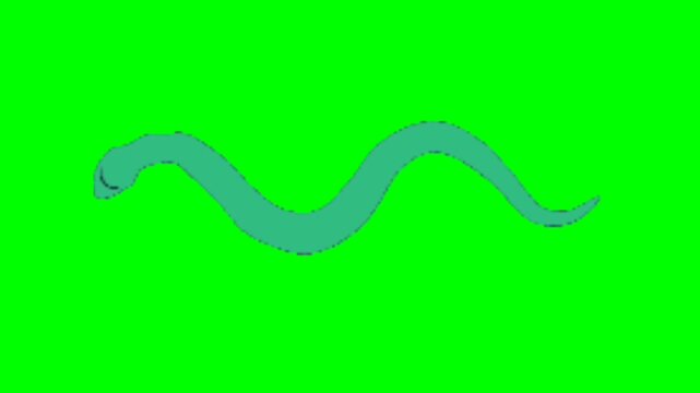 Snake animation video. Snake walking character. Walking animal cartoon character with green screen video animation with chroma key.