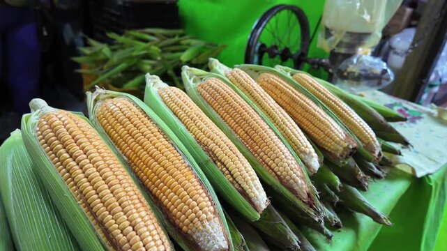 Fresh corn foreground, man peeling corn for cachapa in market backdrop