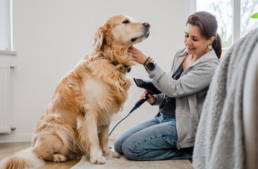 Woman Sitting On Floor Drying Golden Retriever With Hairdryer