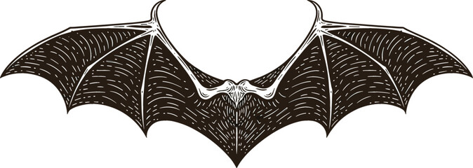 Vintage bat engraving vector illustration with spread wings and detailed line art animal design for Halloween, gothic posters, tattoos, logos, and dark fantasy artwork © Jahangir