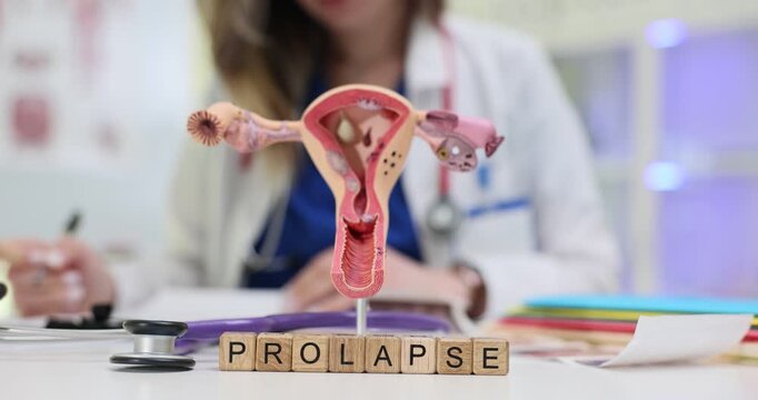 Wooden blocks spell word Prolapse near uterus model on medical desk. Female doctor points at anatomy discussing pelvic support problems with patient