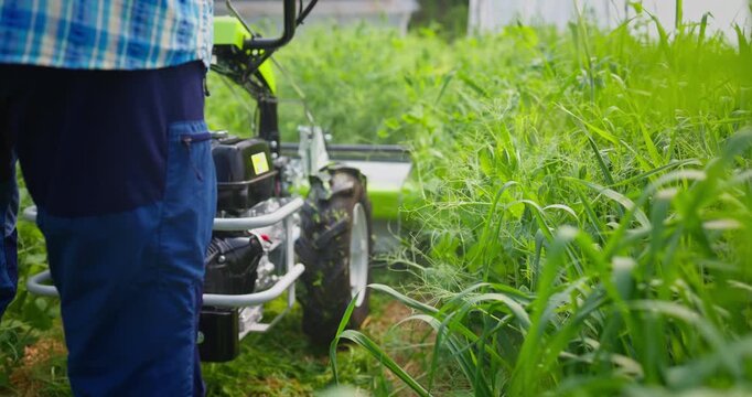 Farmer tilling cover crops soil for healthy organic compost, mulching plants in greenhouse, worker mowing lawn mower shredder on green grass