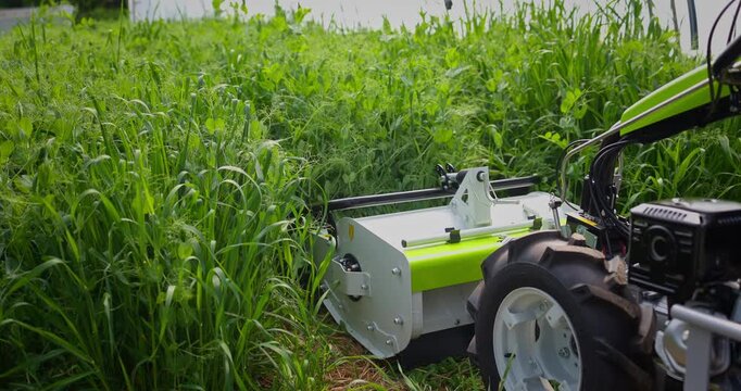 Farmer tilling cover crops soil for healthy organic compost, mulching plants in greenhouse, worker mowing lawn mower shredder on green grass