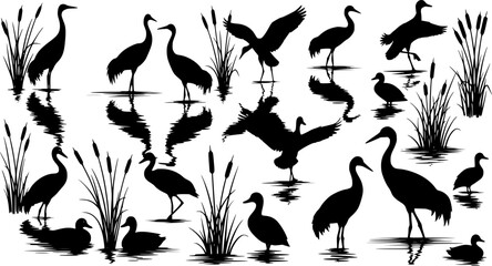 Water Bird Silhouette Set - Heron, Crane, and Duck Wildlife Vector Collection