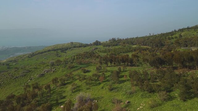Israel southern Golan woods provide a majestic view of the misty horizon above the Kinneret.