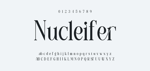 Fototapeta premium Elegant Font Uppercase Lowercase and Number. Classic Lettering Minimal Fashion Designs. Typography modern serif fonts regular decorative vintage concept. vector illustration