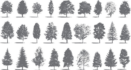 Collection of diverse grey tree silhouettes with detailed foliage and distinct shapes nature © Pixel Park