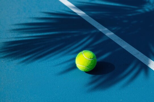 Tennis Ball on Blue Hardcourt with Palm Shadow
