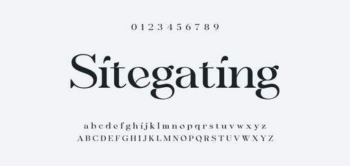 Fototapeta premium Elegant Font Uppercase Lowercase and Number. Classic Lettering Minimal Fashion Designs. Typography modern serif fonts regular decorative vintage concept. vector illustration