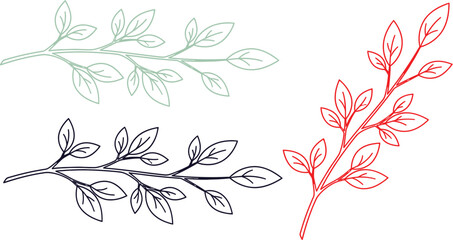 Botanical branch illustration line art collection © Udara
