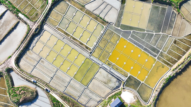 Aerial view of geometric salt ponds shimmer with golden hues under the sun's gaze, a mosaic of textures and tones, Guerande, Bretagne, France.