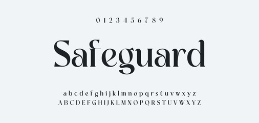 Obraz premium Elegant Font Uppercase Lowercase and Number. Classic Lettering Minimal Fashion Designs. Typography modern serif fonts regular decorative vintage concept. vector illustration
