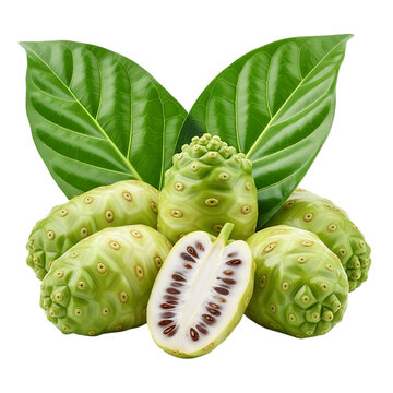 A vibrant arrangement of noni fruits and leaves including a halved specimen on transparent background