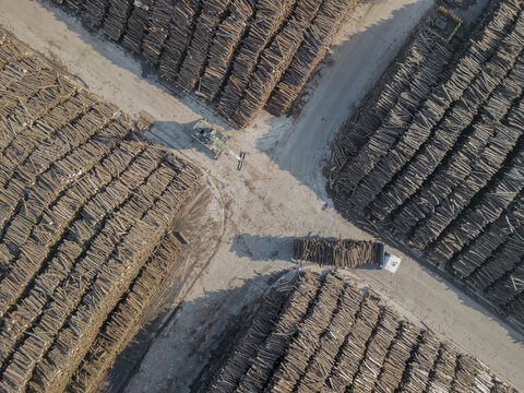 Aerial view of stacks of timber logs creating geometric patterns with a tractor and truck amidst the muted tones, Deocriste, Viana do Castelo, Portugal.