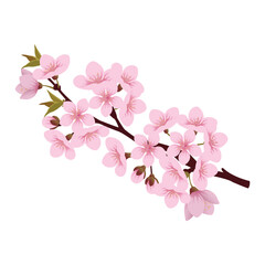 Sakura Blossom Spring Pink Cherry Treebranch Design