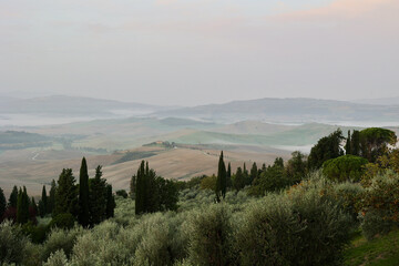 Obraz premium Scenic autumn sunrise near Pienza in the Province of Siena, Tuscany, Italy. Rolling countryside, olive groves, and elegant cypress trees stretch toward distant hazy hills beneath warm early light.