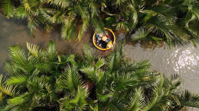 Aerial view of vietnam basket boat sailing through a serene coconut palm forest river, hoi an, vietnam