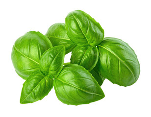 Fototapeta premium Vibrant green basil leaves, glossy texture, natural, fresh herb garnish