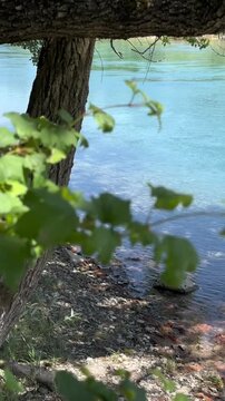Pebble stones river shore up-close nature in the summer Switzerland Linth stream