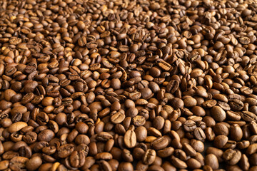 Close-up view of roasted coffee beans, showcasing their rich brown color and texture