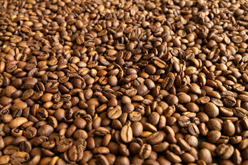 Close-up view of roasted coffee beans, showcasing their rich brown color and texture