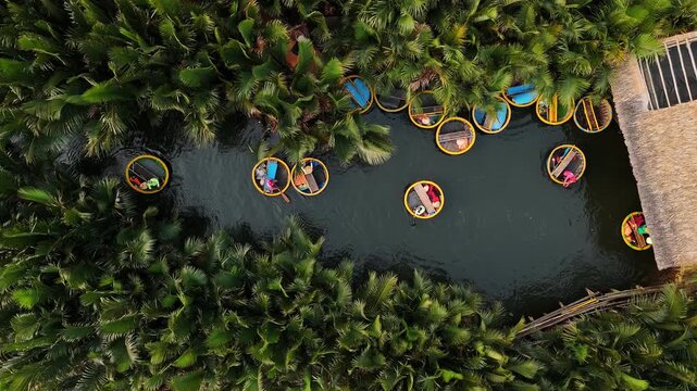 Aerial view of tourists riding on basket boats in a coconut forest canal in hoi an, vietnam