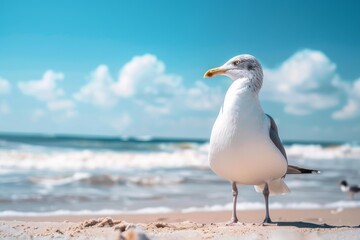 Obraz premium Majestic seagull enjoying a sunny day at the beach, with blue sky, white clouds, and ocean waves in the background