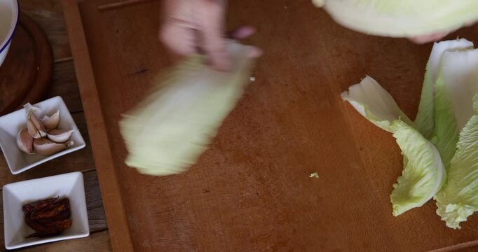 Chinese cabbage leaves teared from cabbage head, close up