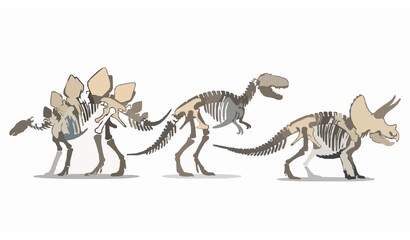 Dinosaur Skeleton Vector Set with Stegosaurus Tyrannosaurus and Triceratops Fossils Isolated on White © Shahonas