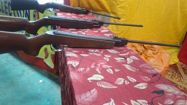  air rifles commonly used for target shooting and recreational plinking. 