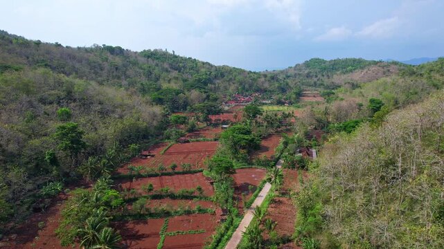 Aerial drone footage of a dry red earth valley in the countryside of Giriwoyo, Wonogiri regency, Java island, Indonesia, with a road and a traditional javanese village, and rounded hills