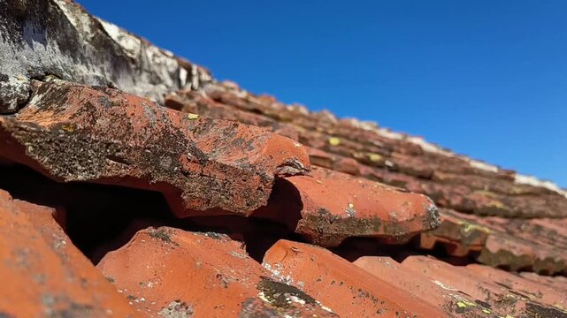 Old weathered clay roof tiles close-up under blue sky, rustic architecture texture background