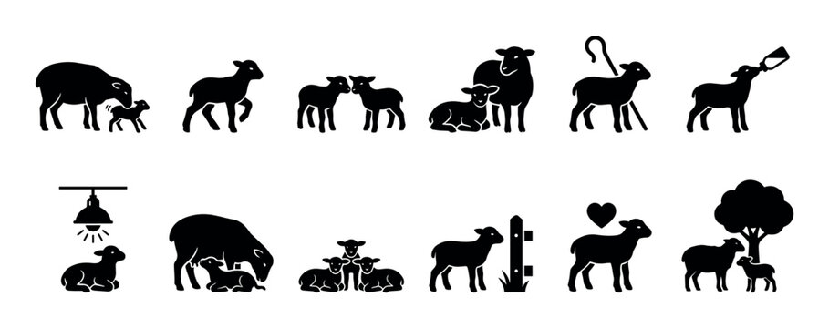 Collection of black sheep and lamb silhouettes in various poses and scenes representing farming, motherhood, and care, presented as a set of icons isolated on a white background