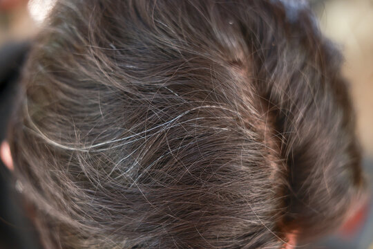 Close up top view of person with graying dark hair parted down middle. This natural process of aging shows first signs of silver strands on scalp and head