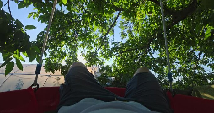 Man swinging on a tree swing outdoor, relax and enjoy beautiful day and nature in the countryside
