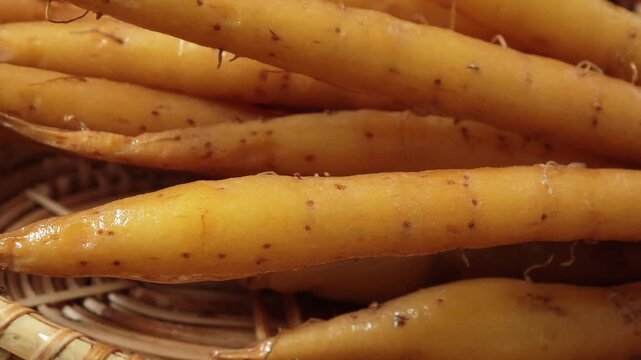 Fresh fingerroot, Chinese Key in a basket.	