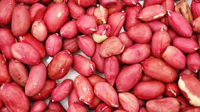 Peanut harvest in the field showing different stages and variety