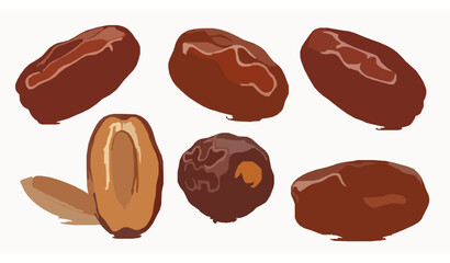 Fototapeta premium Realistic Dried Dates with Seed Isolated on White Background Vector Illustration