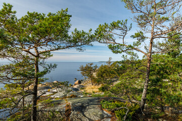 Obraz premium Scenic view of a rocky coastline with pine trees overlooking a calm sea. A symbol of coastal biodiversity, nature conservation, and the preservation of pristine maritime ecosystems